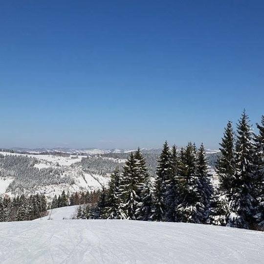 Вилла Milanova Koliba Zlatar Нова-Варош Экстерьер фото